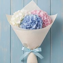 Букет цветов из:  Гортензия в Этоке