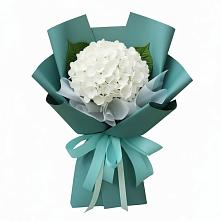 Букет цветов из:  Гортензия в Этоке